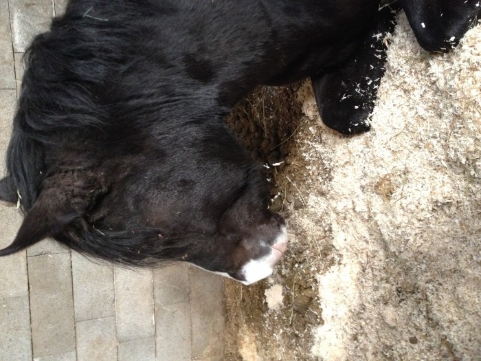 Photo de profil de jj35650