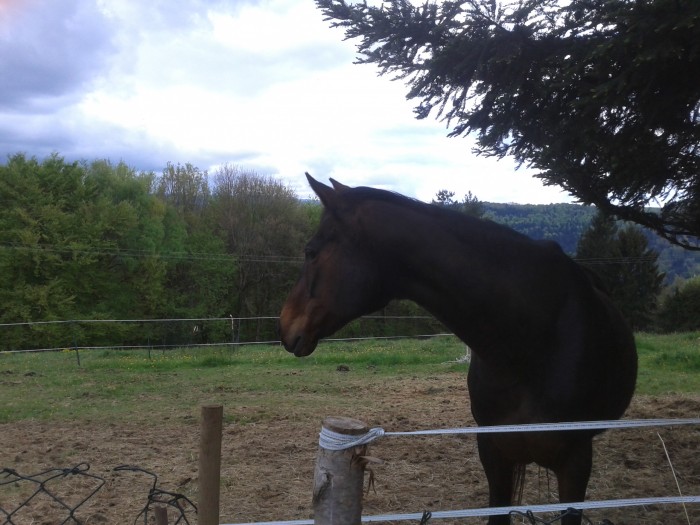 Photo de profil de jj64