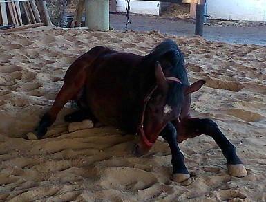 Photo de profil de jojocolo