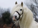 Photo de profil de juju48705