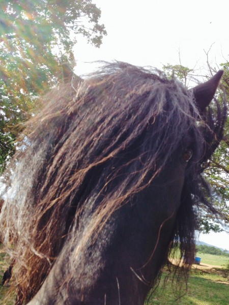 Photo de profil de jujuh63