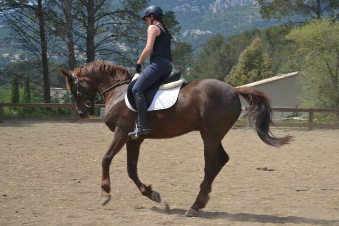 Photo de profil de juliettemrt6