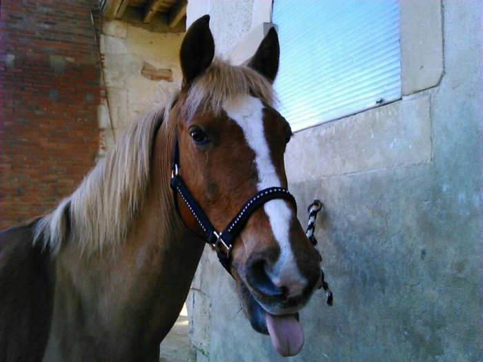 Photo de profil de juloodejo