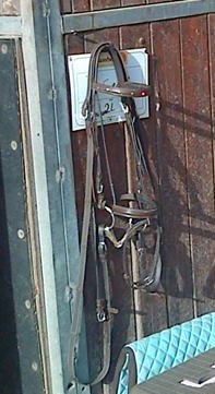 Photo de profil de kalilopa