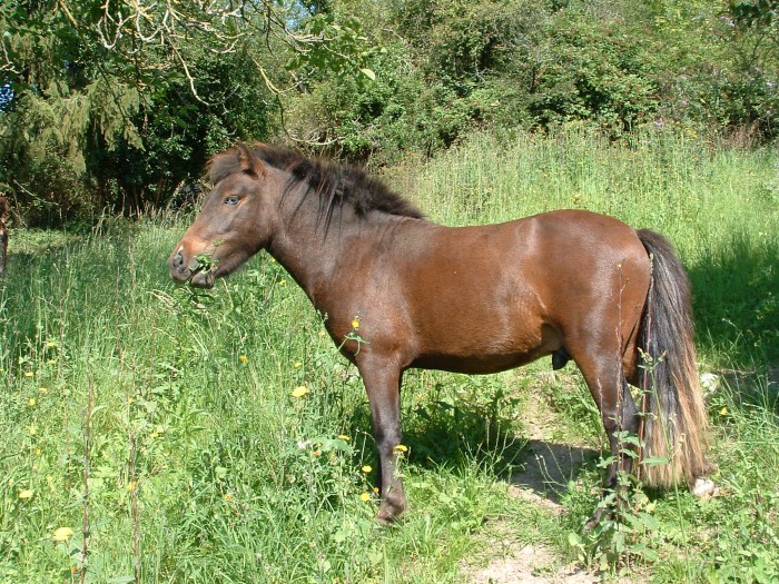 Photo de profil de kiko78