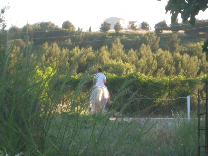 Photo de profil de kiky34