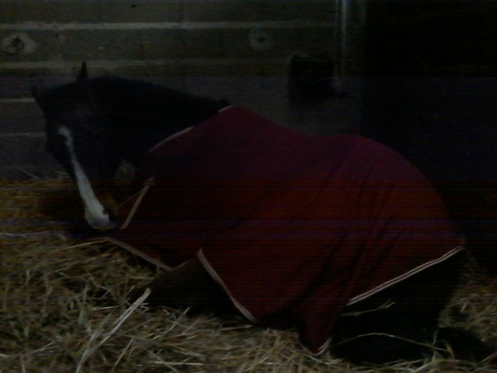 Photo de profil de koko28