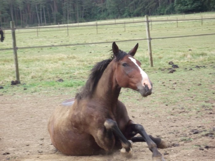 Photo de profil de kulfa