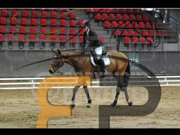 Photo de profil de kyam