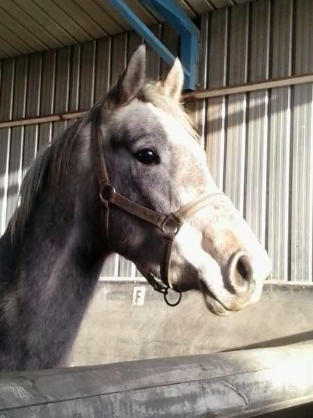 Photo de profil de labibi