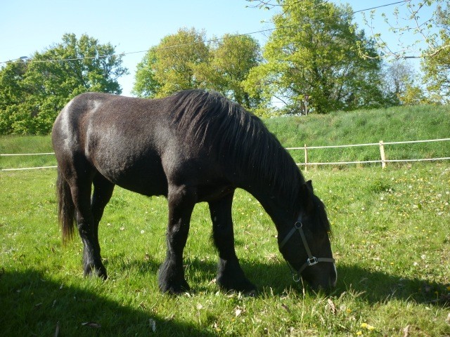 Photo de profil de lakita151