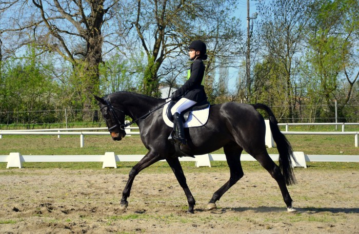 Photo de profil de lallag