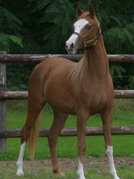 Photo de profil de lanna
