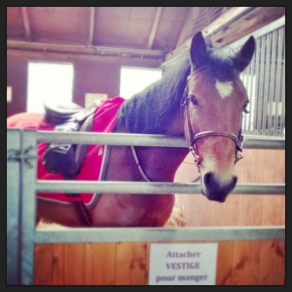 Photo de profil de lauraavestigee