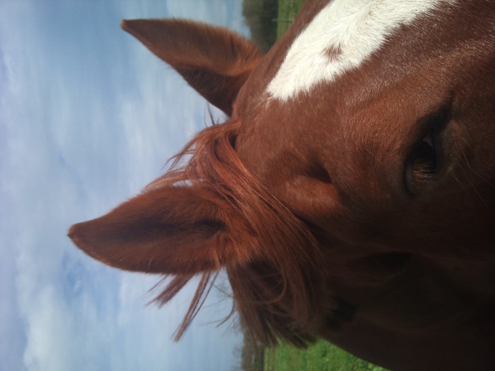 Photo de profil de laurecf