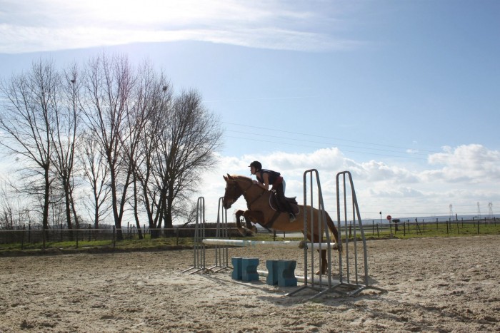 Photo de profil de lauryne6666