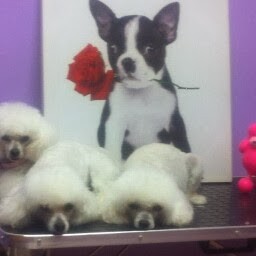 Photo de profil de lbaby13