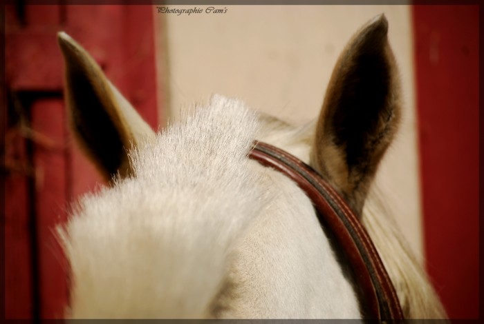 Photo de profil de l.bubu