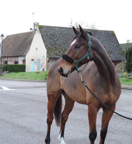 Photo de profil de lepat57