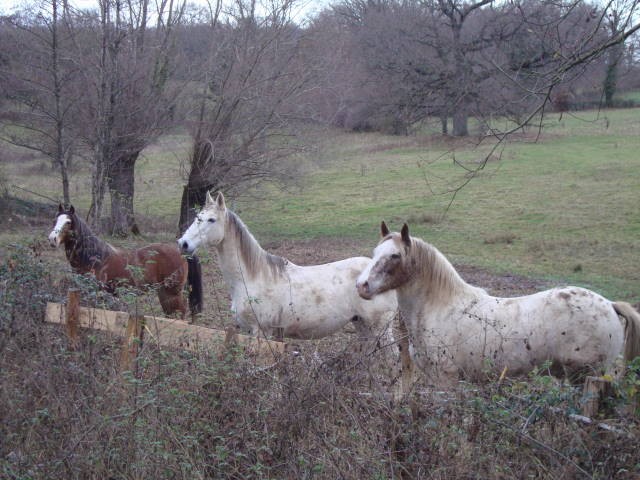 Photo de profil de libreensoi