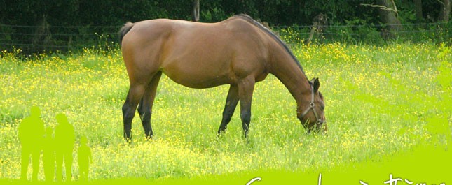 Photo de profil de linda2103