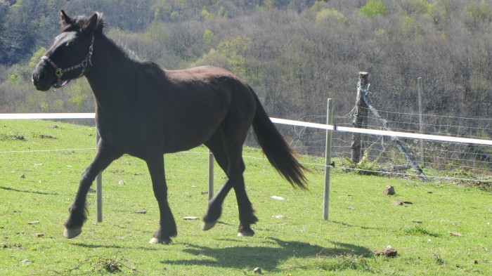 Photo de profil de lisouu31