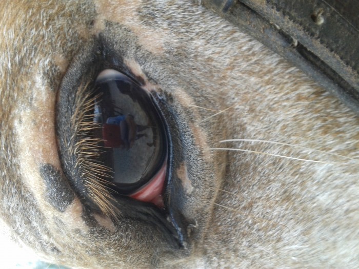 Photo de profil de loan50