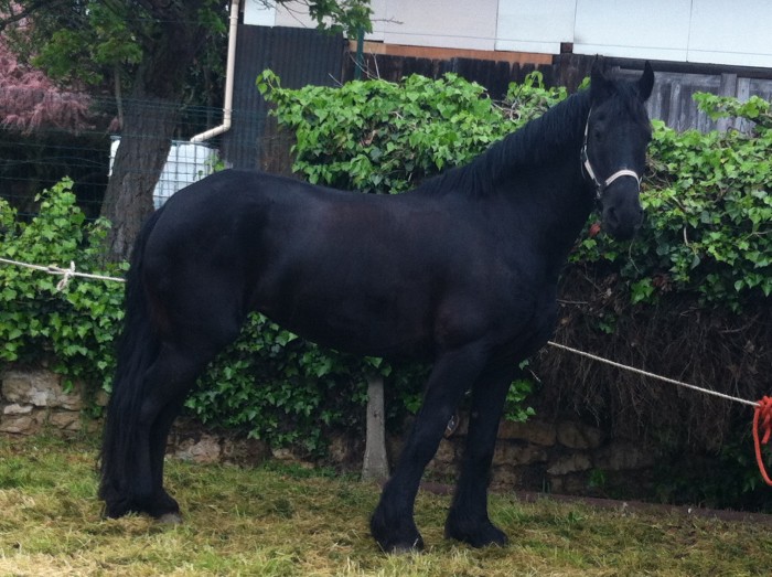 Photo de profil de lodi78840