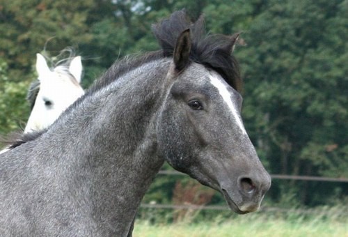 Photo de profil de lolilololi