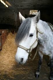 Photo de profil de lolokilog