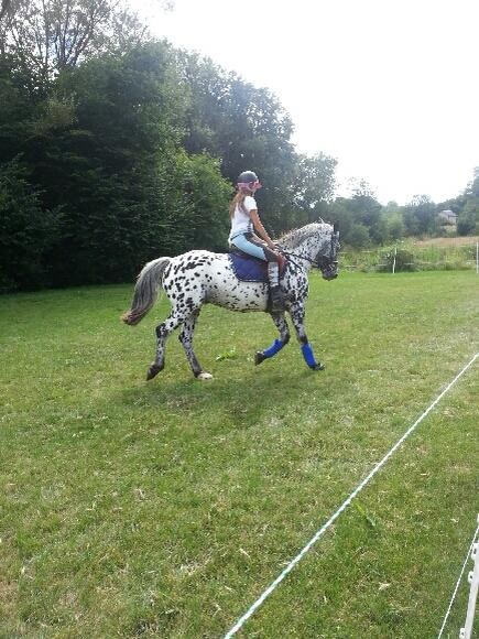 Photo de profil de lolrain