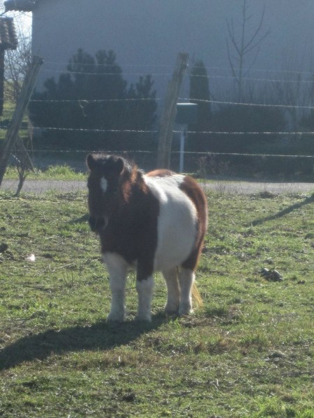 Photo de profil de lorene38