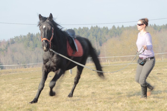 Photo de profil de loudie