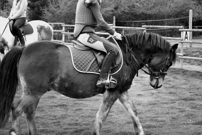 Photo de profil de louveblanche