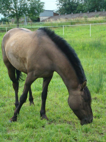 Photo de profil de lucie09