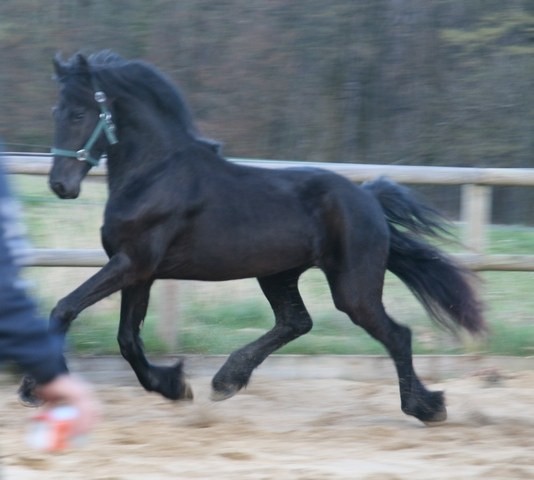 Photo de profil de ludoviccaramel