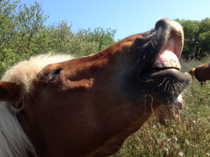 Photo de profil de lulukaly