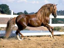 Photo de profil de lulutdruye