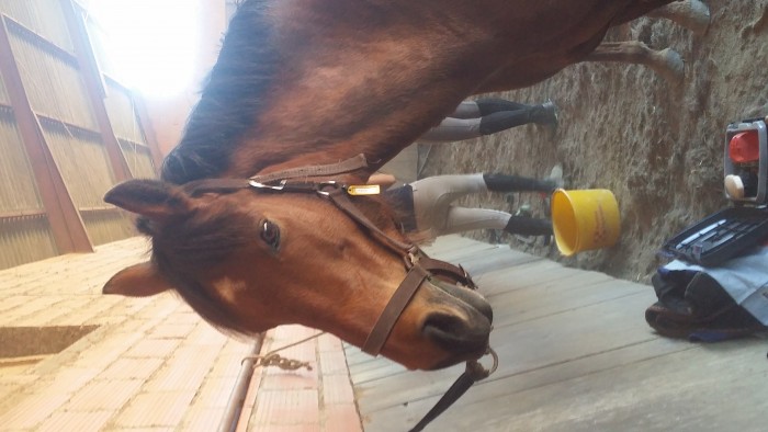 Photo de profil de lydia22m