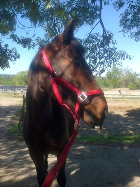 Photo de profil de lylyetritoux