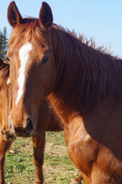 Photo de profil de lyriane