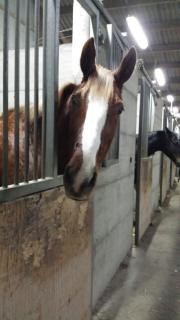 Photo de profil de magdelainequino