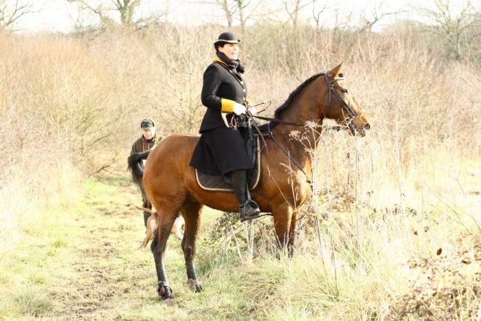 Photo de profil de magmichel