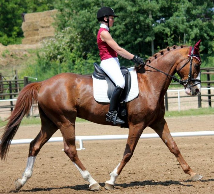 Photo de profil de maiss44