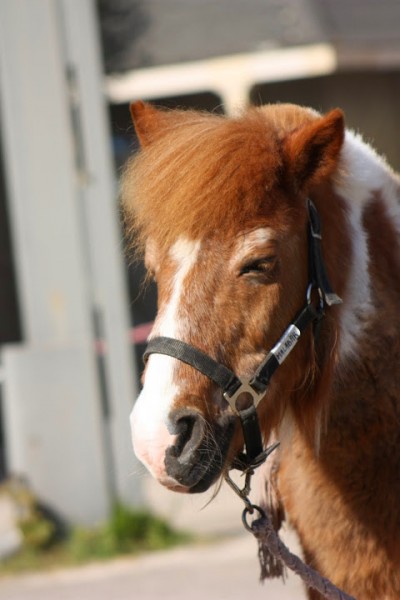 Photo de profil de malabar91