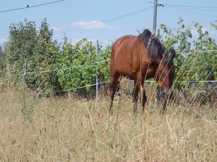 Photo de profil de mallou68