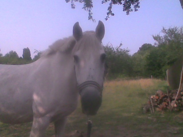 Photo de profil de mannoo