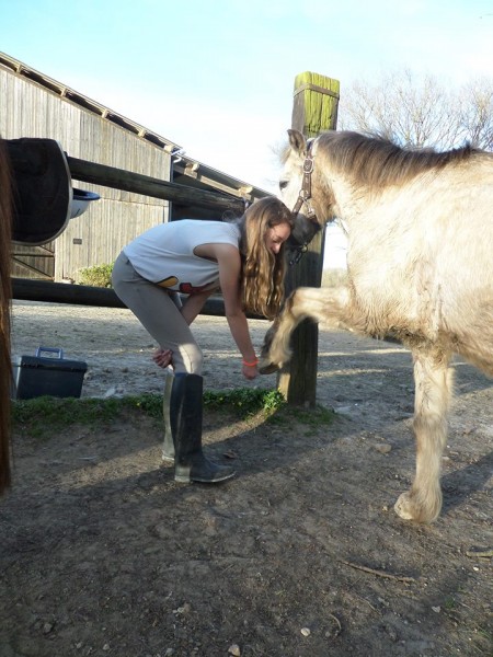 Photo de profil de manonlotus