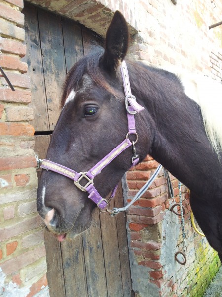 Photo de profil de marie2403