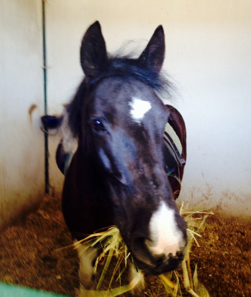 Photo de profil de mariechn